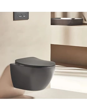 FREE WALL-HUNG BASIN ANTHRACITE MATTE (FE320-11AM00E-0000) WITHOUT COVER